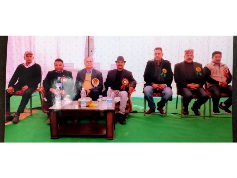 best school in palampur