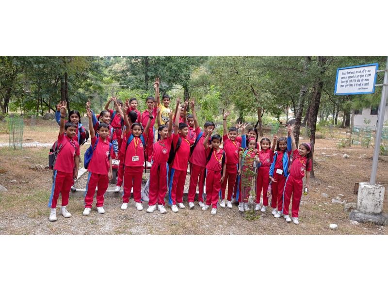 best school in palampur